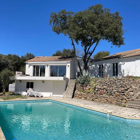 Les Terrasses Des Gardies Bed and Breakfast Pignan Eksteriør billede